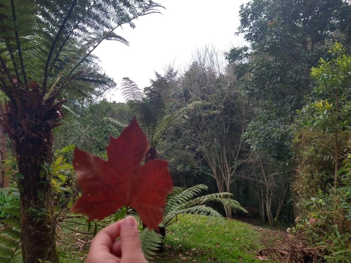 Estrela Da Serra Casa de hóspedes *