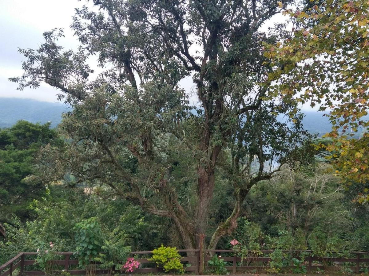 Estrela Da Serra *