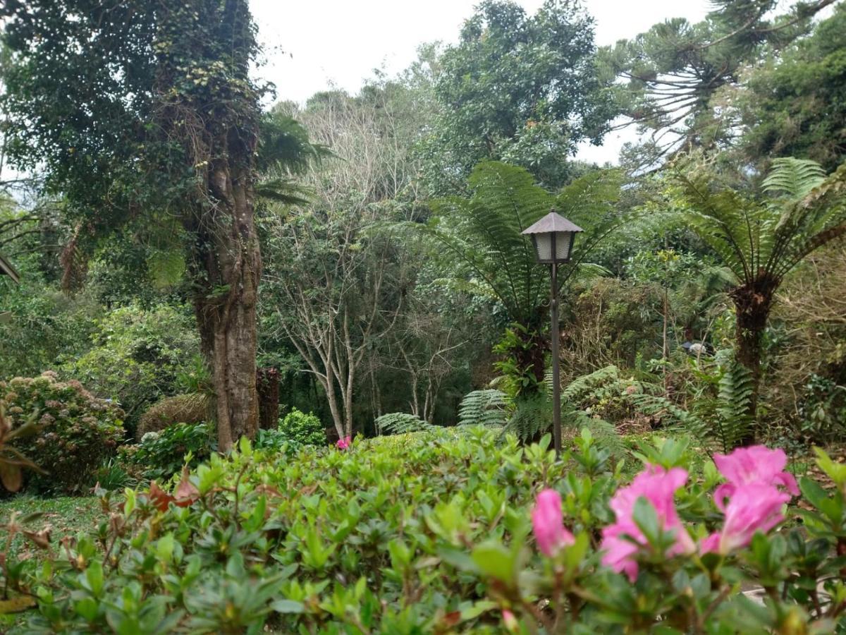Estrela Da Serra Casa de hóspedes