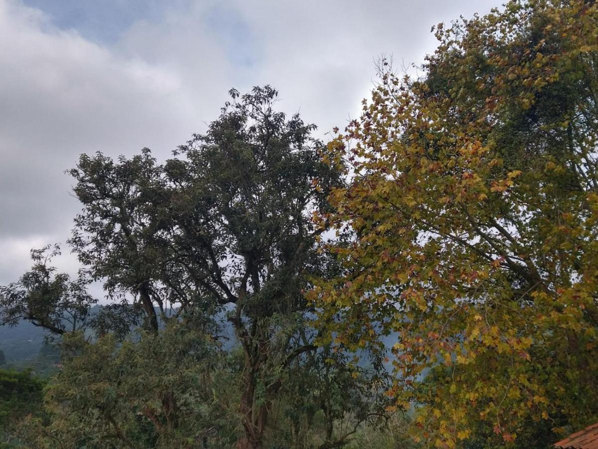 Estrela Da Serra